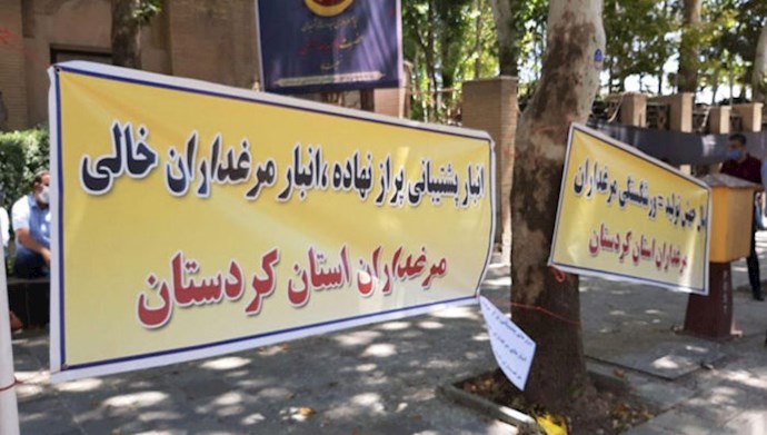 تجمع احتجاجي لمزارعي الدواجن في كردستان