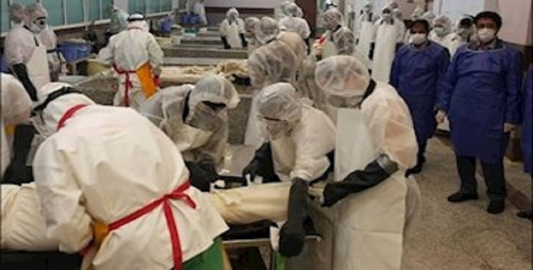 أكثر من293200 حالة وفاة بفيروس كورونا في 542 مدينة في إيران