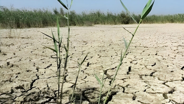ایران.. صحیفة حکومیة:بناء المساكن على حساب تجويع الأجيال القادمة لماذا يلجأ خامنئي إلى مصادرة الأراضي الزراعية؟