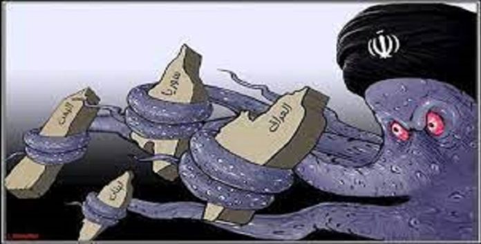 الرأس وليس أذرع الأخطبوط