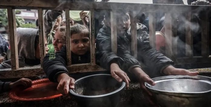 فلسطین.. حتى في حالة توقف القتال، الأزمة الصحية في غزة تهدد بحياة ثمانية آلاف شخص بحلول أغسطس