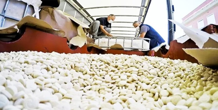 محقق أيرلندي بارز: عصابات المخدرات الأيرلندية على صلة بإيران وتمويل حزب الله