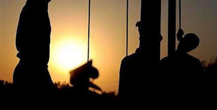 ماكينة الإعدامات.. حين يفضح القمع ذعر السلطة